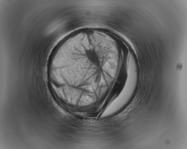 X0000099450935200806061102