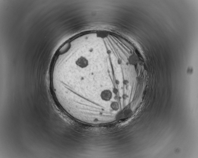 X0000099450936200806061102