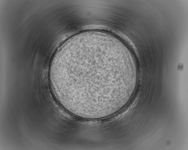 X0000099450937200806061102