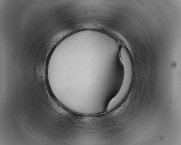 X0000099450938200806061102