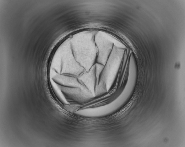 X0000099450939200806061102