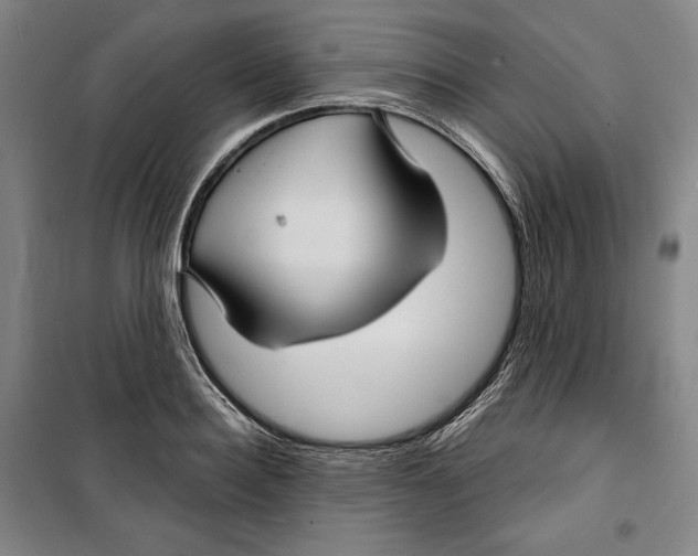 X0000099450940200806061102