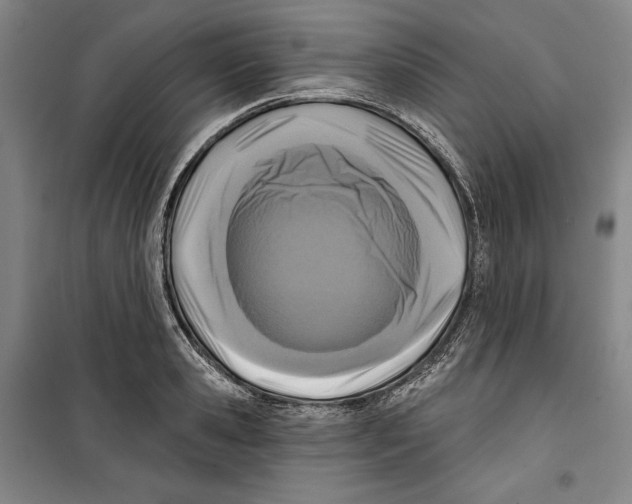 X0000099450941200806061102