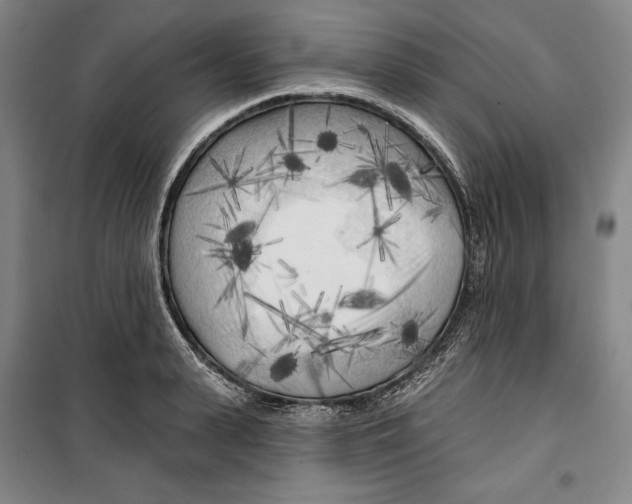 X0000099450943200806061102