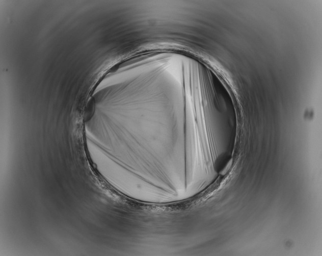 X0000099450945200806061102