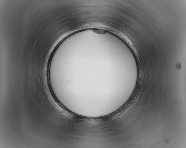 X0000099450947200806061102