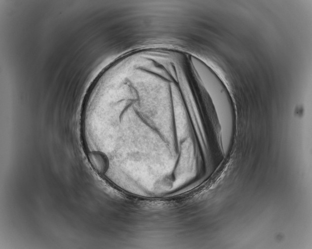 X0000099450949200806061102