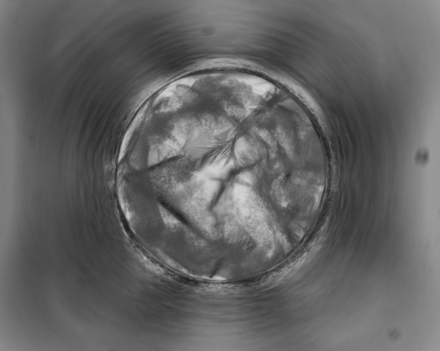 X0000099450953200806061102