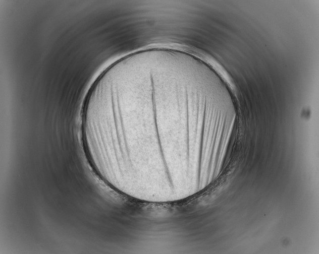 X0000099450955200806061103