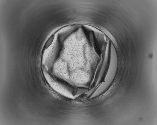 X0000099450956200806061103