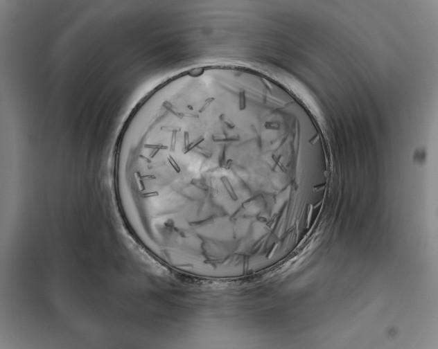 X0000099450958200806061103