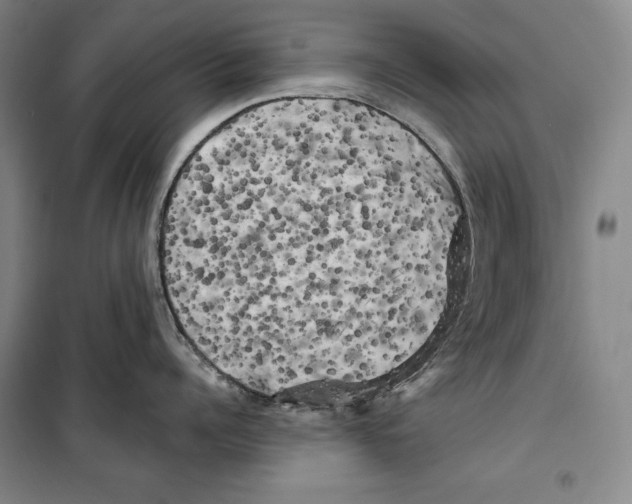 X0000099450960200806061103