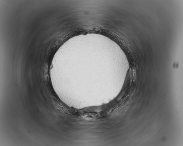 X0000099450963200806061102