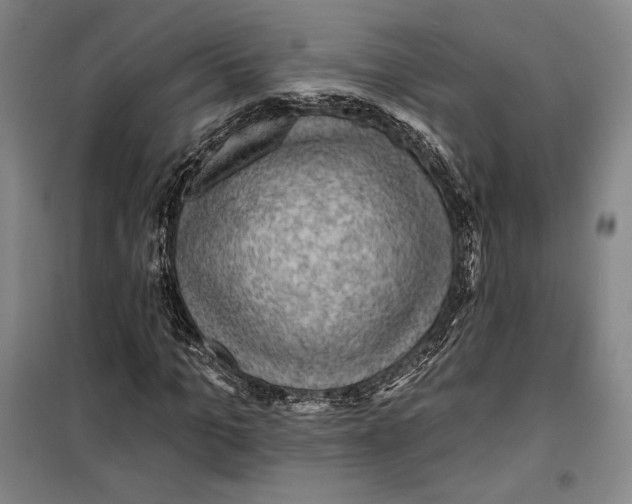 X0000099450965200806061102