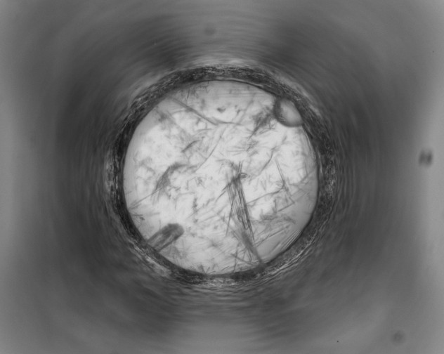 X0000099450966200806061102