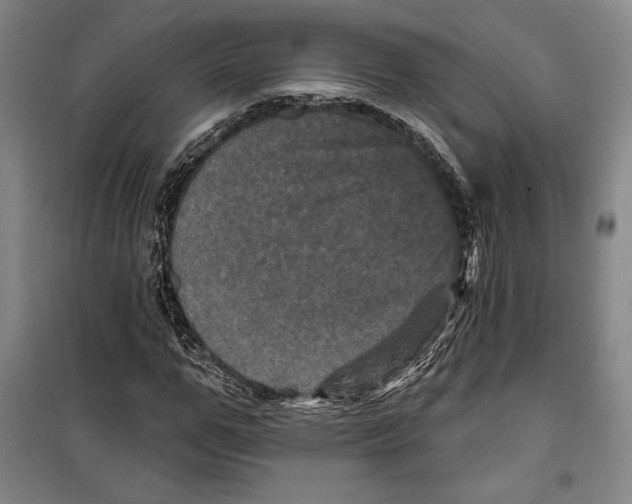 X0000099450967200806061102