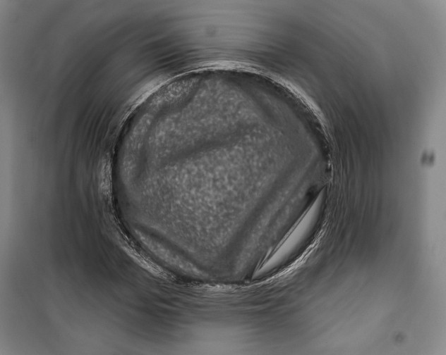 X0000099450969200806061102