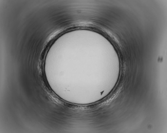 X0000099450970200806061102