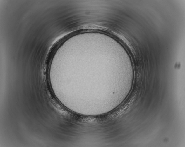 X0000099450971200806061102