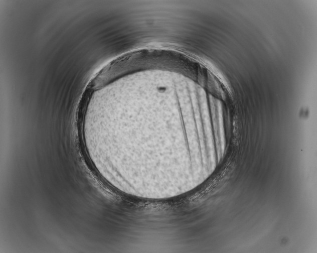 X0000099450972200806061102