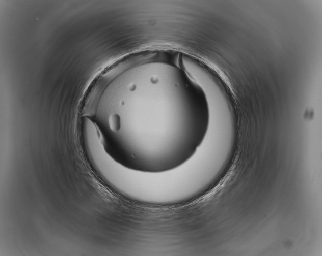 X0000099450973200806061102