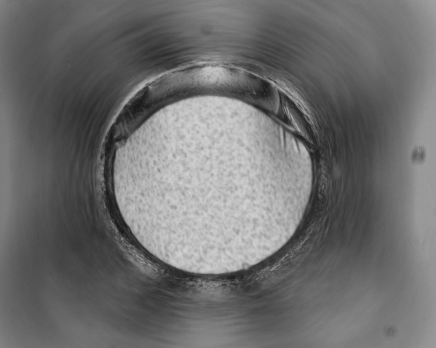 X0000099450976200806061102