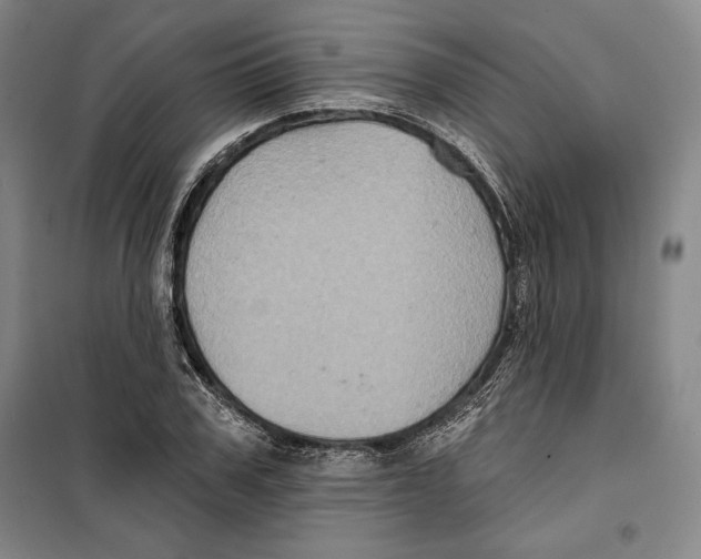 X0000099450979200806061102