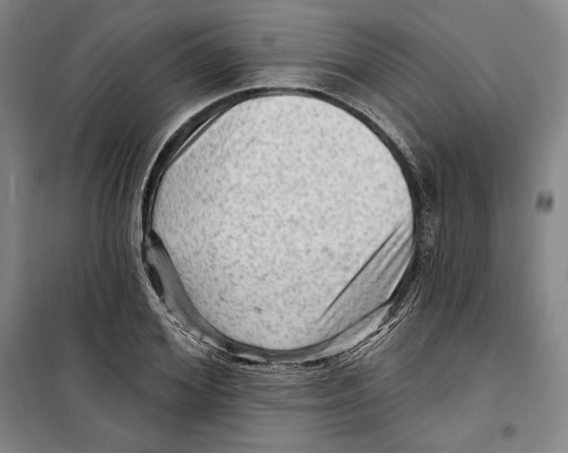 X0000099450980200806061102