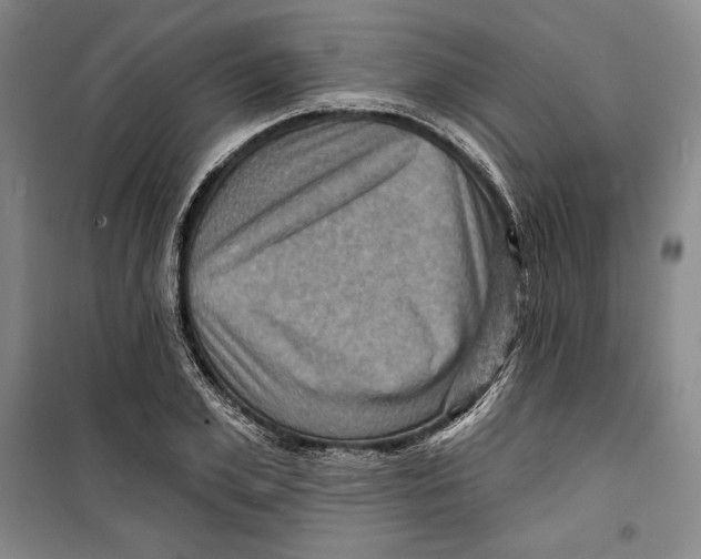 X0000099450981200806061102