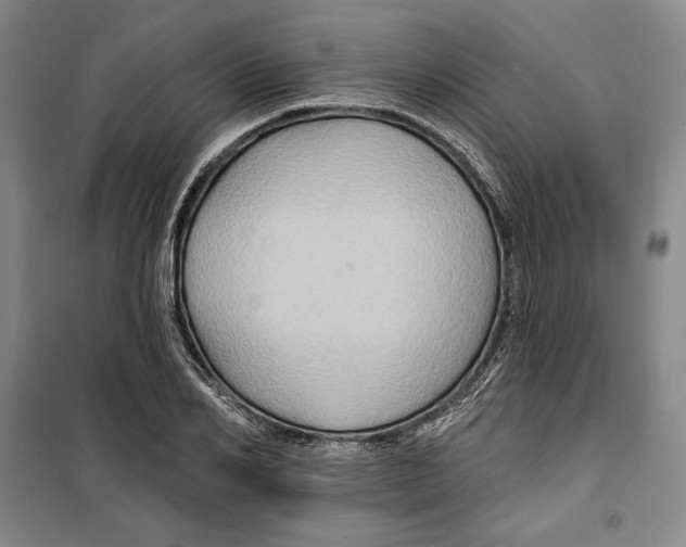 X0000099450982200806061102