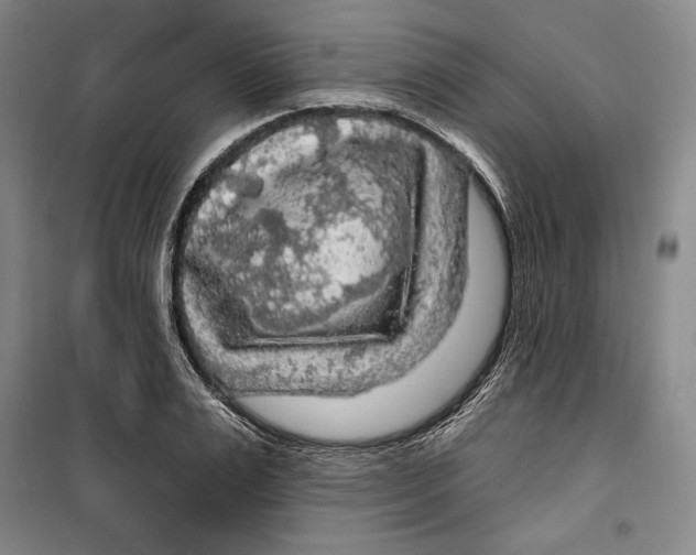 X0000099450983200806061102