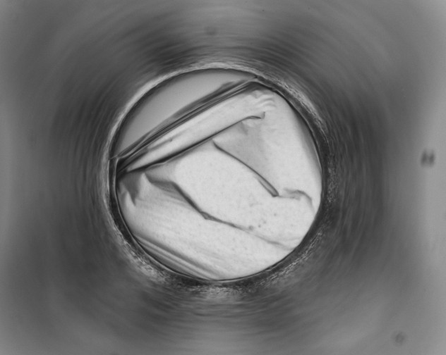 X0000099450984200806061102