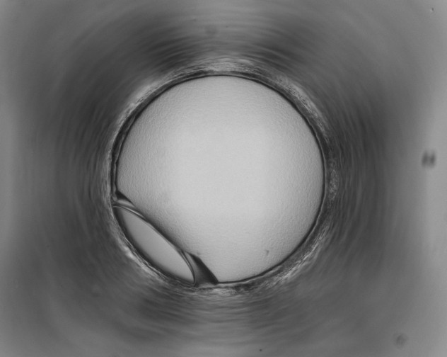 X0000099450986200806061101