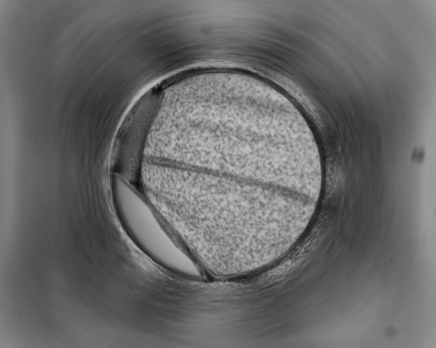 X0000099450988200806061101