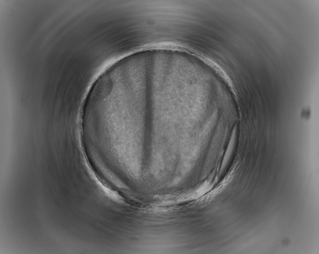 X0000099450989200806061101