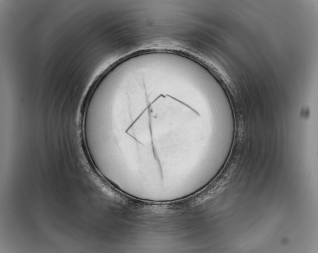 X0000099450990200806061101