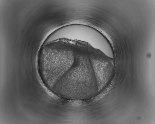 X0000099450991200806061101