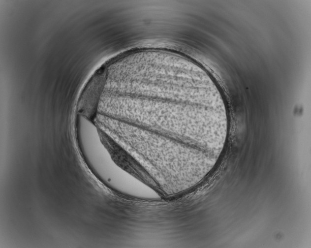 X0000099450992200806061101