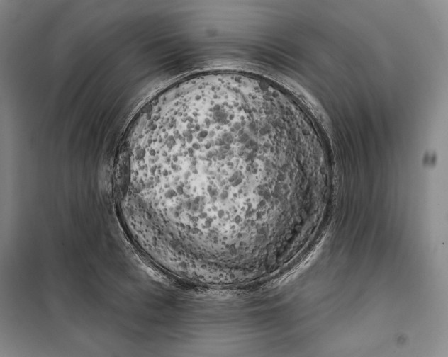 X0000099450993200806061101