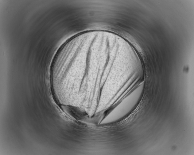 X0000099450996200806061101