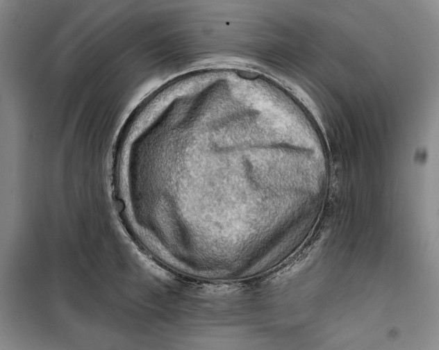 X0000099450997200806061101