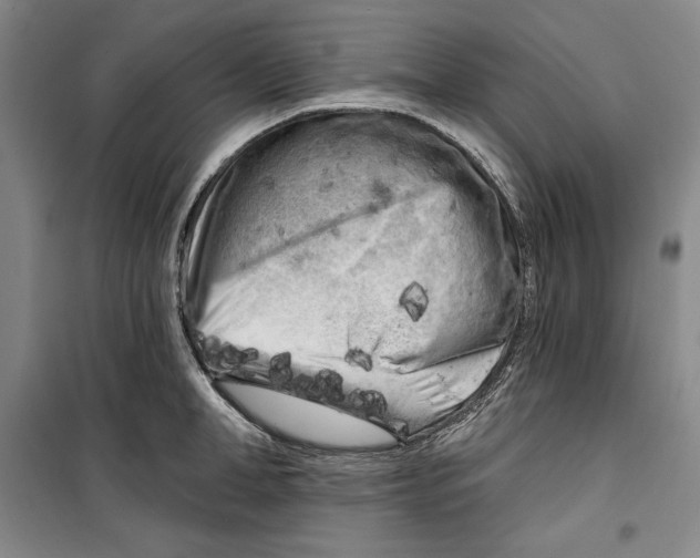 X0000099450998200806061101