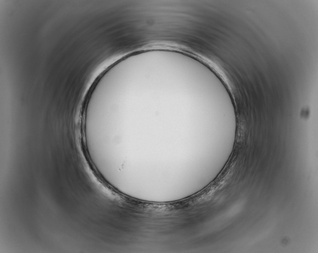 X0000099451003200806061101