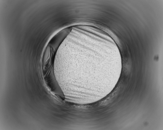 X0000099451004200806061101