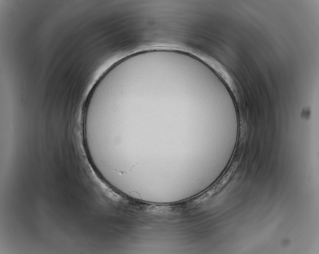 X0000099451006200806061101