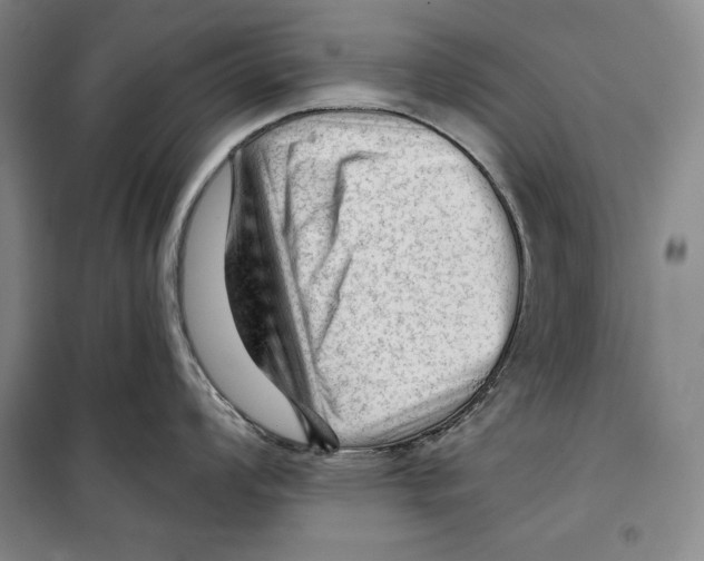 X0000099451008200806061101