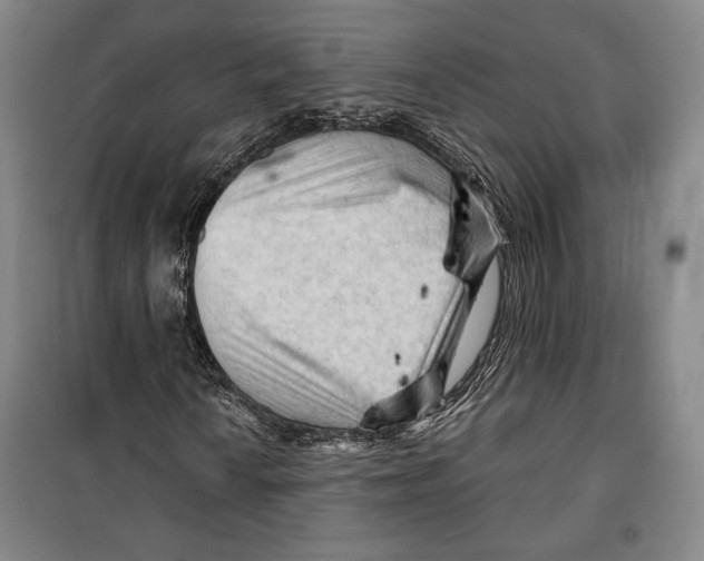 X0000099451010200806061101