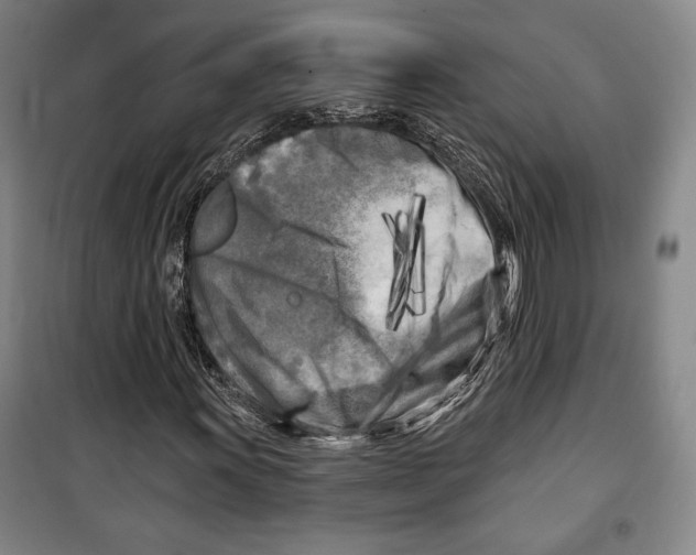 X0000099451011200806061101