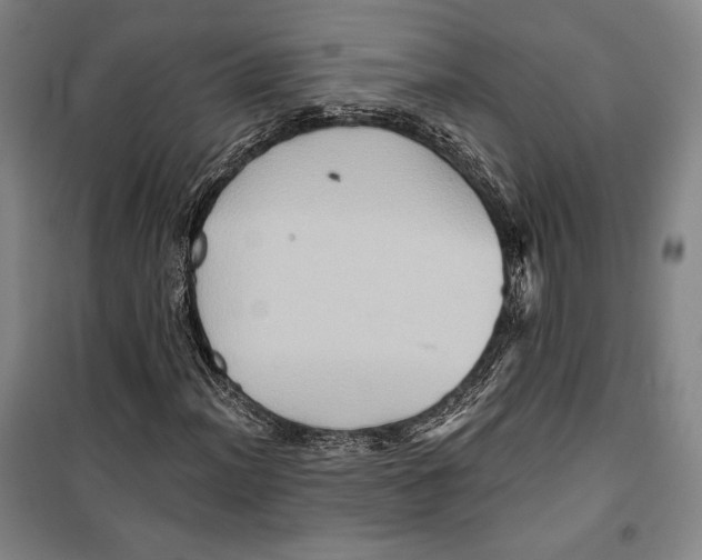 X0000099451012200806061101