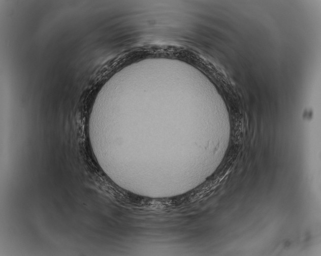 X0000099451013200806061101